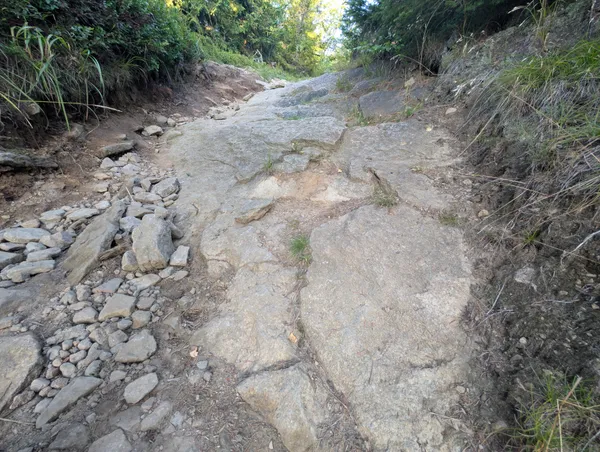 PXL_20250815_043638100.jpg
