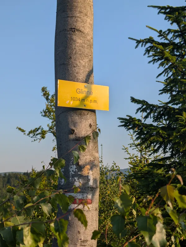 PXL_20250815_044615457.jpg