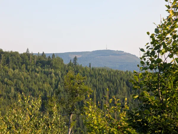 PXL_20250815_044726907.jpg