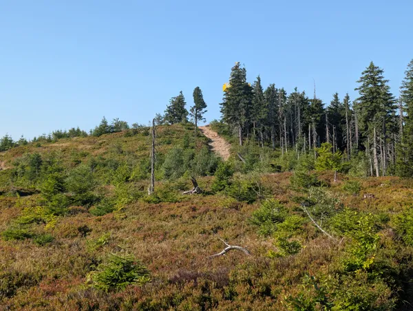 PXL_20250815_064308262.jpg