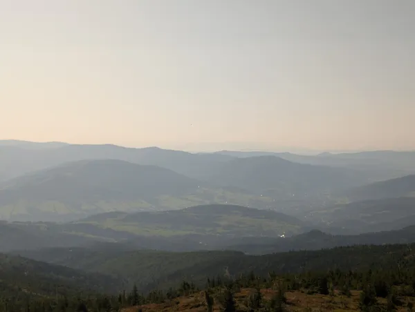 PXL_20250815_065113922.jpg