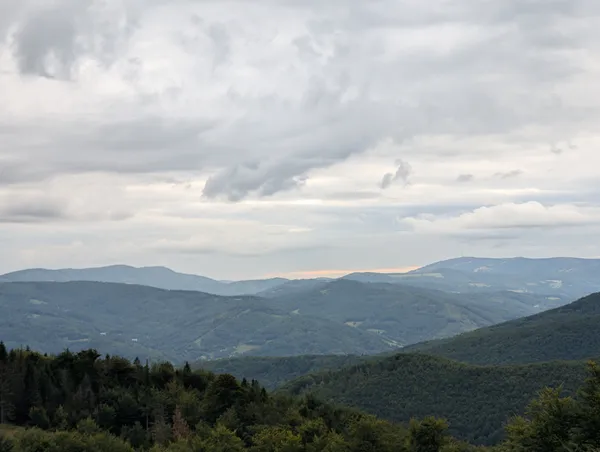 PXL_20250823_055144830.jpg