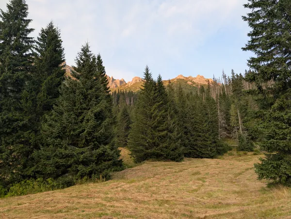 PXL_20250905_164247700.jpg