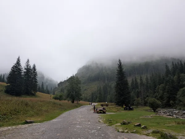 PXL_20250906_070552407.jpg