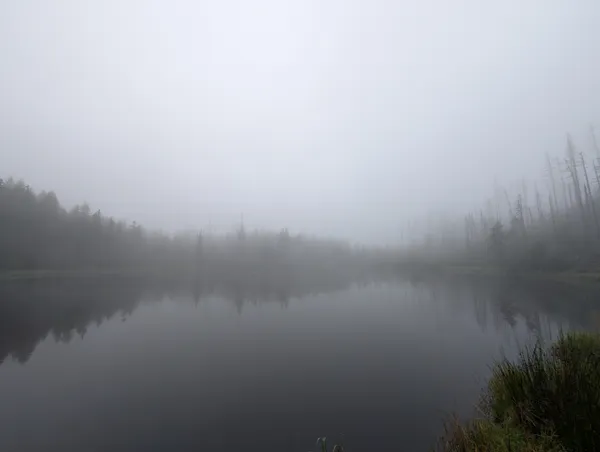 PXL_20250906_082047260.jpg