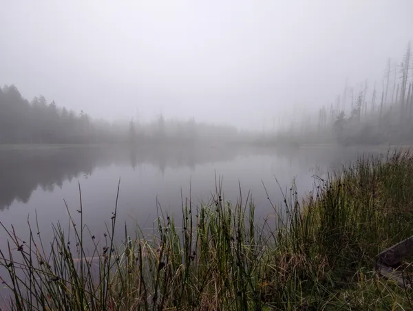 PXL_20250906_082114113.jpg