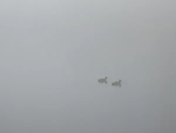 PXL_20250906_082604531.jpg