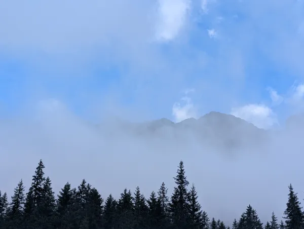 PXL_20250907_142148275.jpg