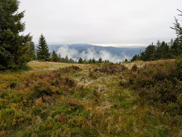 PXL_20250927_083101079.MP.jpg
