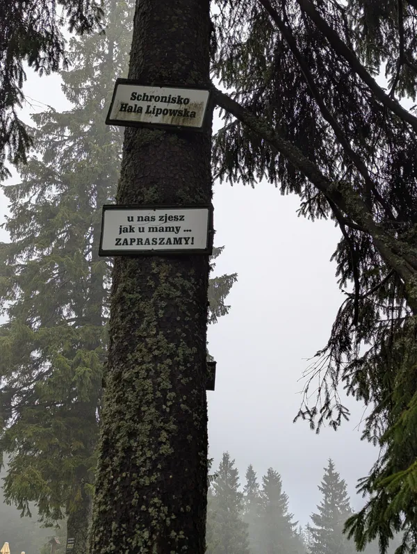 PXL_20251005_093044737.MP.jpg