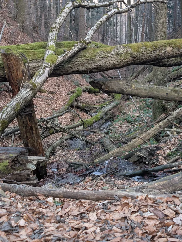PXL_20260308_144242140.LONG_EXPOSURE.jpg